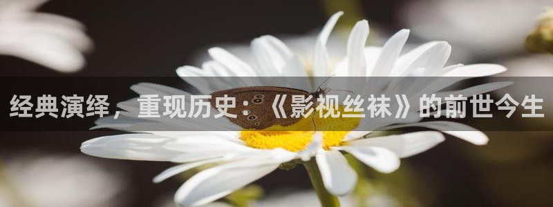 天龙高清电影：经典演绎，重现历史：《影视丝袜》的前世今生