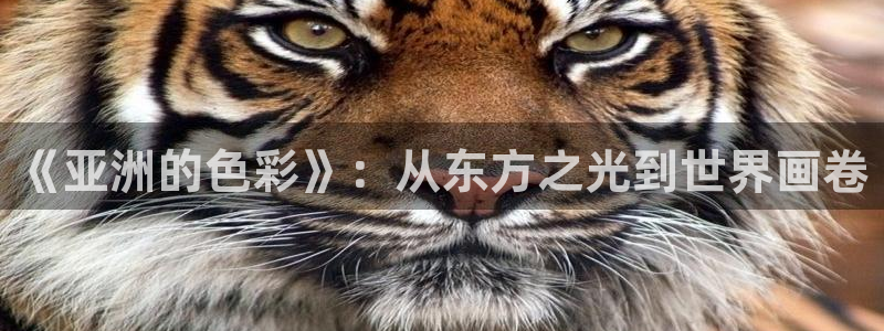免费天龙影视：《亚洲的色彩》：从东方之光到世界画卷