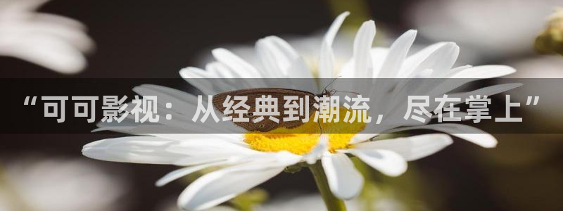 天龙高清影院 远古电影首页：“可可影视：从经典到潮流，尽在掌上”