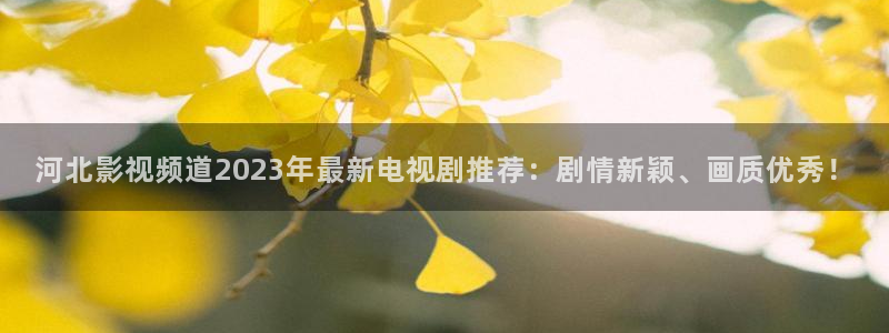 天龙影院远官网：河北影视频道2023年最新电视剧推荐：剧情新颖、画质优秀！