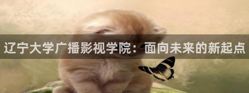 天龙影院天龙影院：辽宁大学广播影视学院：面向未来的新起点