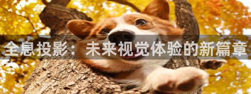 天龙影院电视剧在线观看