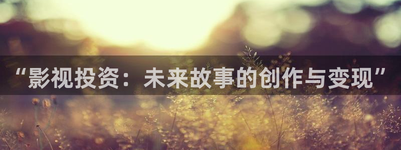 denon 天龙