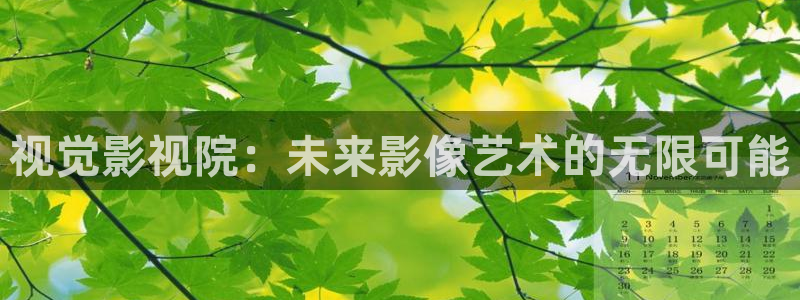 天龙影视在线：视觉影视院：未来影像艺术的无限可能