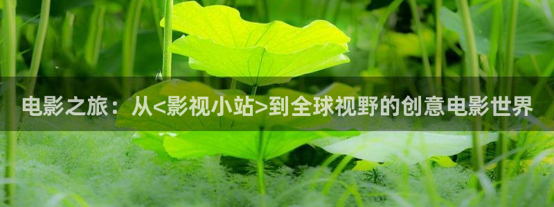 天龙影院在线免费观看：电影之旅：从<影视小站>到全球视野的创意电影世界