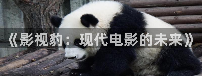 天龙天狼影院：《影视豹：现代电影的未来》