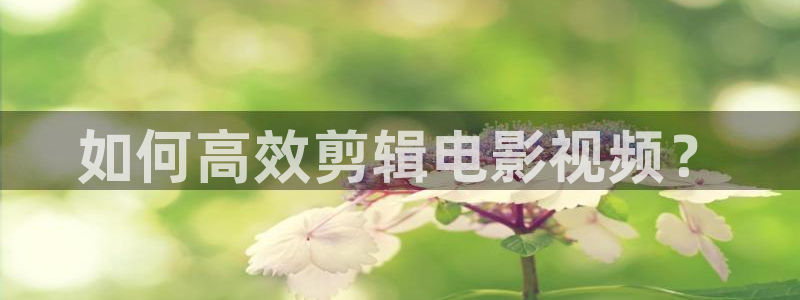 天龙电影网在线观看