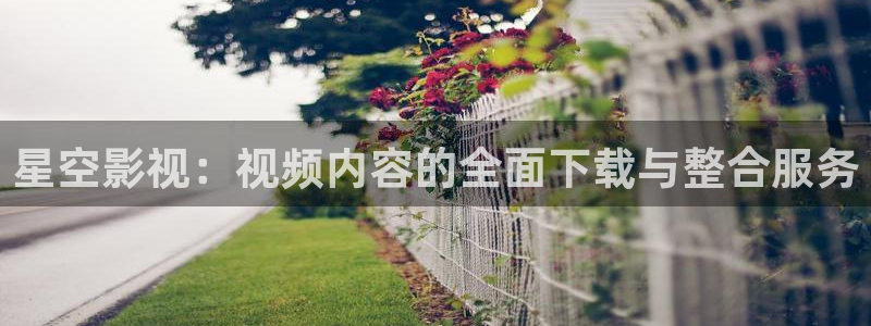 天龙9